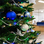 22 grudnia 2025 roku: zajęcia zdalne choinka