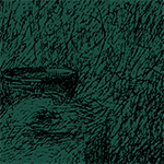 fragment plakatu zapowiadającego spotkanie autorskie z prof. Andrzejem Kuropatnickim i dr Marzena Keating