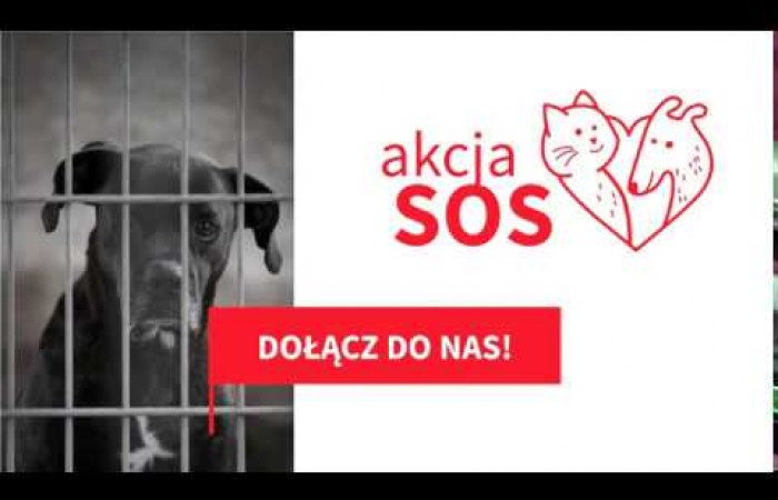 Akcja SOS 2016